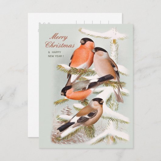 CC1059 FEIERTAGSPOSTKARTE (Vorne/Hinten)