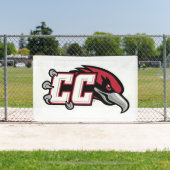 CC Thunderbird-Logo Banner (InSitu)