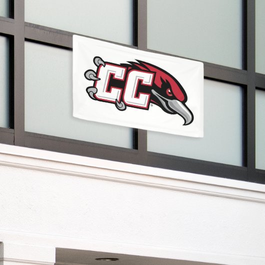 CC Thunderbird-Logo Banner (Äußeres Gebäude)