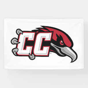 CC Thunderbird-Logo Banner