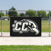 CC Thunderbird-Logo Banner (InSitu)