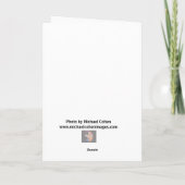 CD-Stack Karte (Rückseite)