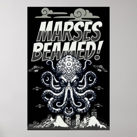 CDmaursesV Poster (Vorne)