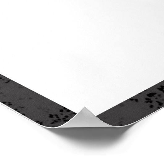 CDstylishg Poster (Ecke)