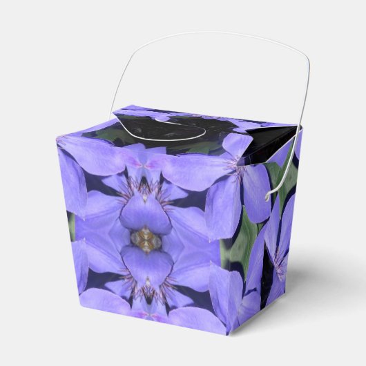 Cé sarine geschenkschachtel (Vorderseite)