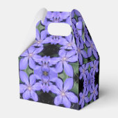 Cé sarine geschenkschachtel (Rückseite)