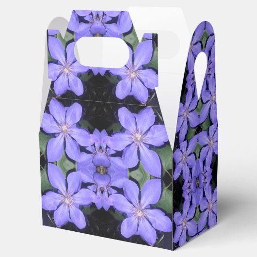 Cé sarine geschenkschachtel (Geöffnet)