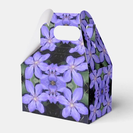 Cé sarine geschenkschachtel (Vorderseite)