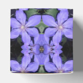 Cé sarine geschenkschachtel (Oben)