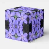 Cé sarine geschenkschachtel (Rückseite)