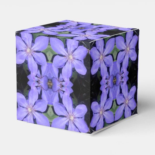 Cé sarine geschenkschachtel (Rückseite)