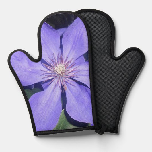 Cé sarine ofenhandschuh (Vorderseite/Rückseite)