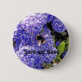 Ceanothus-Blume Button