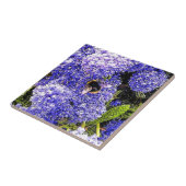 Ceanothus-Blume Fliese (Seite)