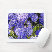 Ceanothus-Blume Mousepad (Mit Mouse)
