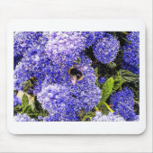 Ceanothus-Blume Mousepad (Vorne)