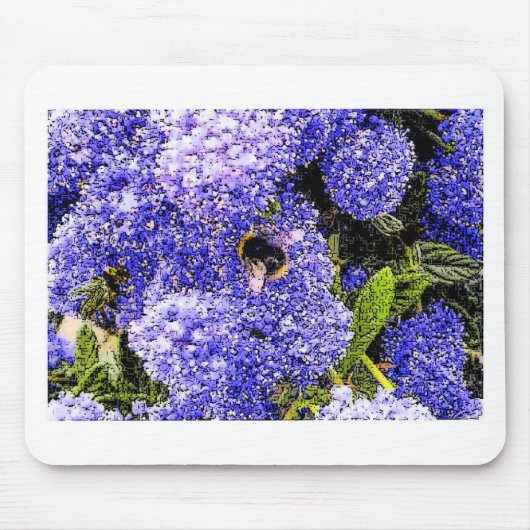 Ceanothus-Blume Mousepad (Vorne)