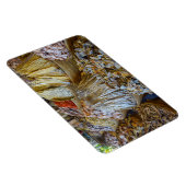 Cebu-Markt Magnet (Rechte Seite)