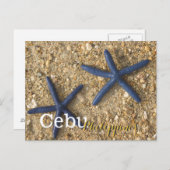Cebu Philippines Blue Starfish Postkarte (Vorne/Hinten)