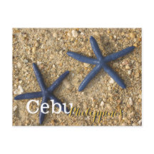 Cebu Philippines Blue Starfish