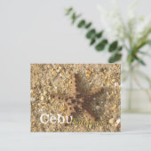 Cebu Philippines Brown Starfish Postkarte (Stehend Vorderseite)