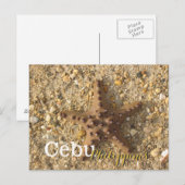 Cebu Philippines Brown Starfish Postkarte (Vorne/Hinten)