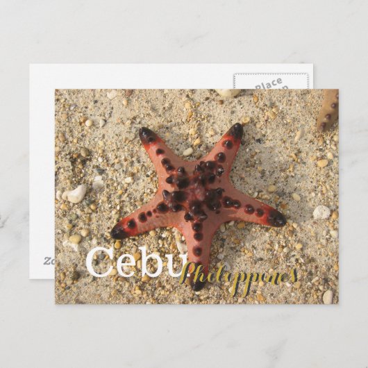 Cebu Philippines Tiger Starfish Postkarte (Vorne/Hinten)