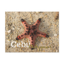 Cebu Philippines Tiger Starfish