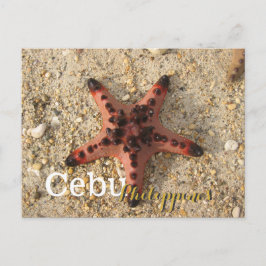 Cebu Philippines Tiger Starfish Postkarte