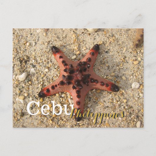 Cebu Philippines Tiger Starfish Postkarte (Vorderseite)