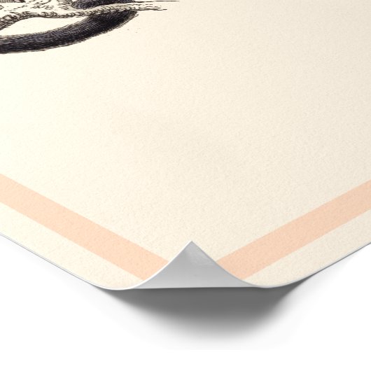 CEBUS MONACHUS-MONKEY-DRUCK POSTER (Ecke)