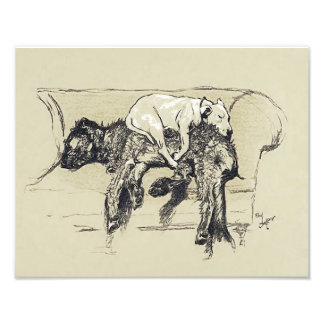 Cecil Aldin 1902 "Lazy Dogs Sleeping on Couch" Fotodruck