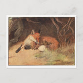 Cecil Aldin Postkarten (Vorderseite)