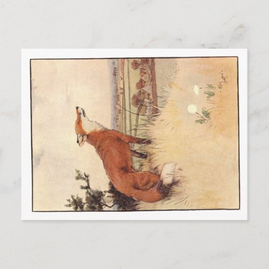 Cecil Aldin Postkarten (Vorderseite)