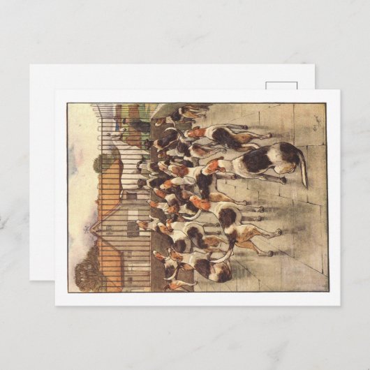 Cecil Aldin Postkarten (Vorne/Hinten)