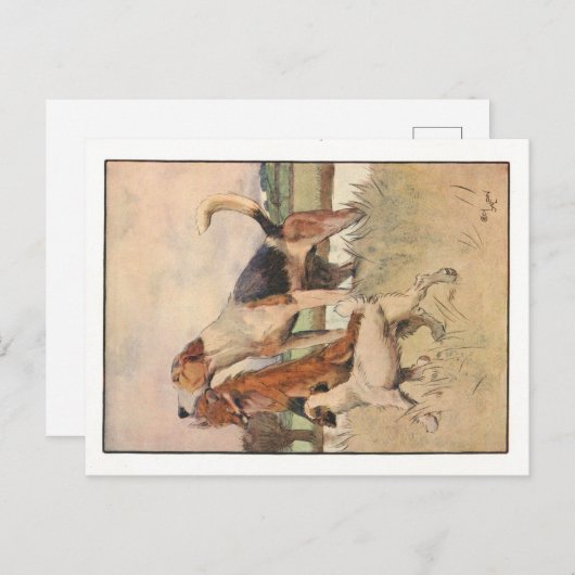 Cecil Aldin Postkarten (Vorne/Hinten)