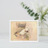 Cecil Aldin Postkarten (Stehend Vorderseite)