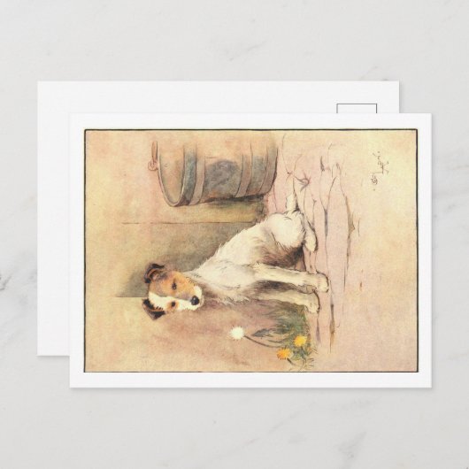 Cecil Aldin Postkarten (Vorne/Hinten)