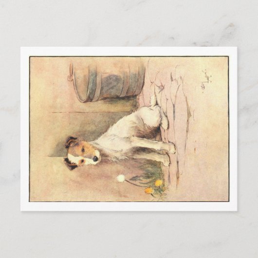 Cecil Aldin Postkarten (Vorderseite)