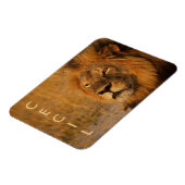 Cecil der Löwe aus Afrika Magnet (Linke Seite)