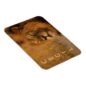 Cecil the Lion aus Afrika Magnet (Rechte Seite)