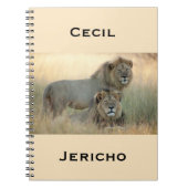 Cecil- u. Jericho-Bruder-Löwen von Afrika Notizblock (Vorderseite)