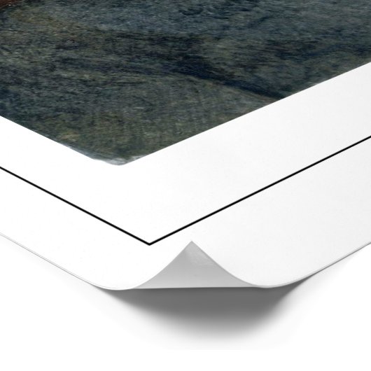 Cecilia Beaux Zedign Art Poster #3 (Ecke)