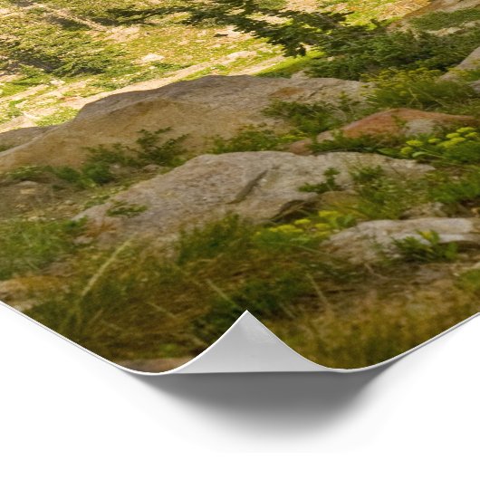 Cecret Lake mit Regenbogen über dem Schloss Devil, Poster (Ecke)