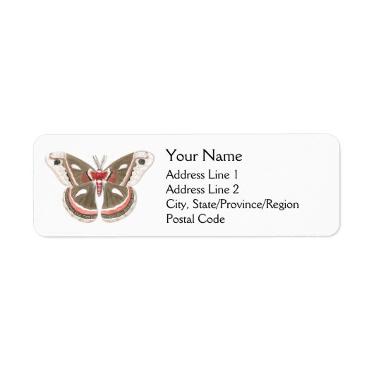 Cecropia Moth Address Labels (Vorne)
