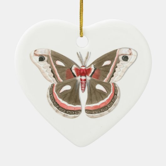 Cecropia Moth Ornament (Hinten)