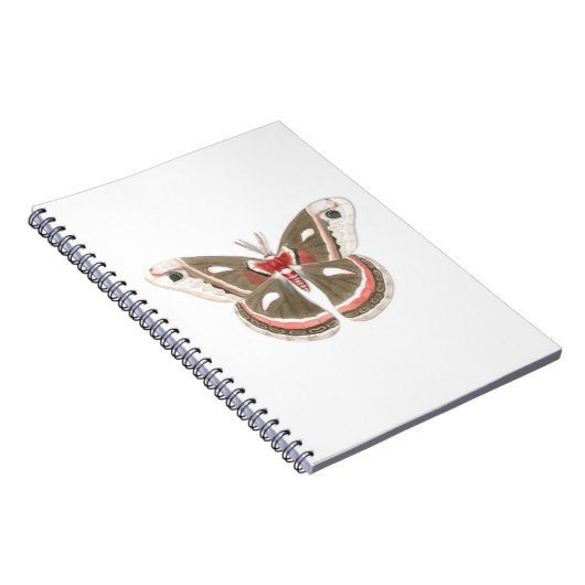 Cecropia Movie-Notebook Notizblock (Rechte Seite)