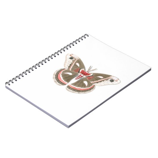 Cecropia Movie-Notebook Notizblock (Linke Seite)