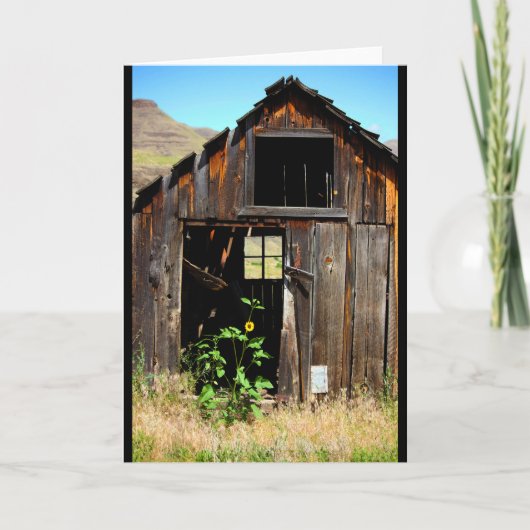 CEDA - HALLE - LEERE KARTE (Vorderseite)