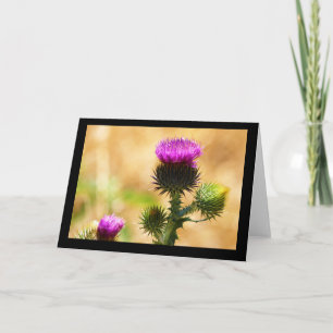 CEDA - IDAHO THISSLE - LEERE KARTE